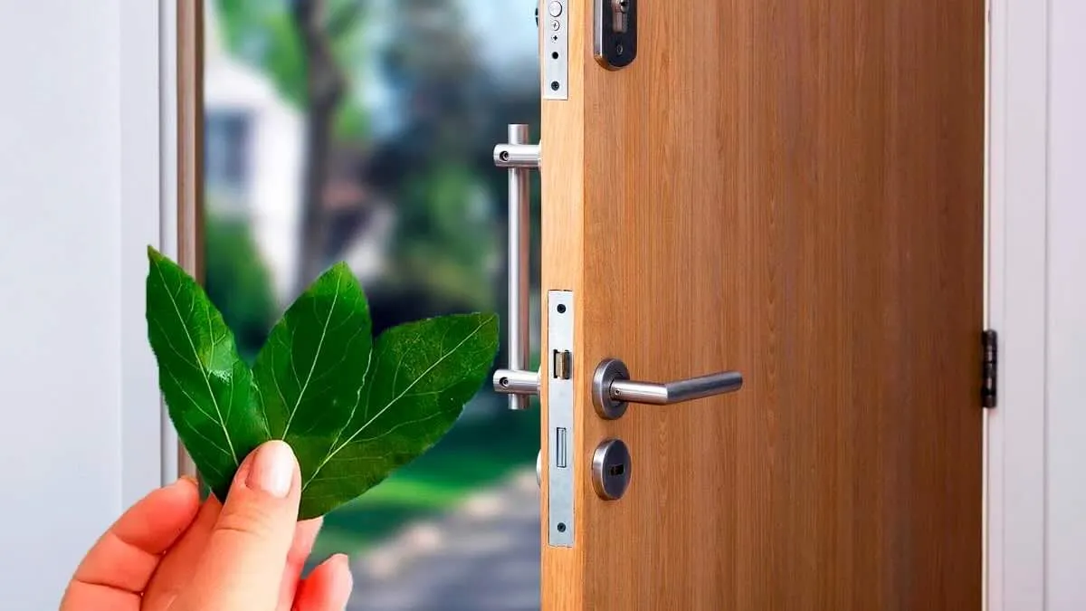 Bobkovník jako strážce vašeho domova: symbolika, historie a praktické výhody