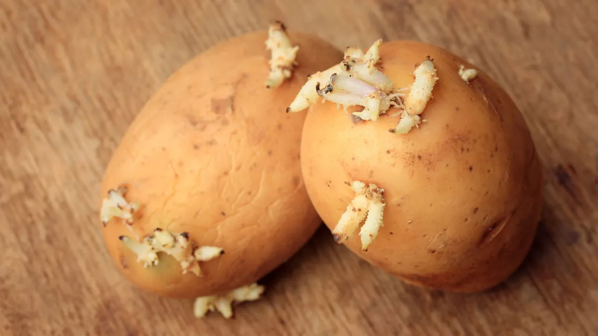 Jak uchovat brambory čerstvé: efektivní způsob zmrazení