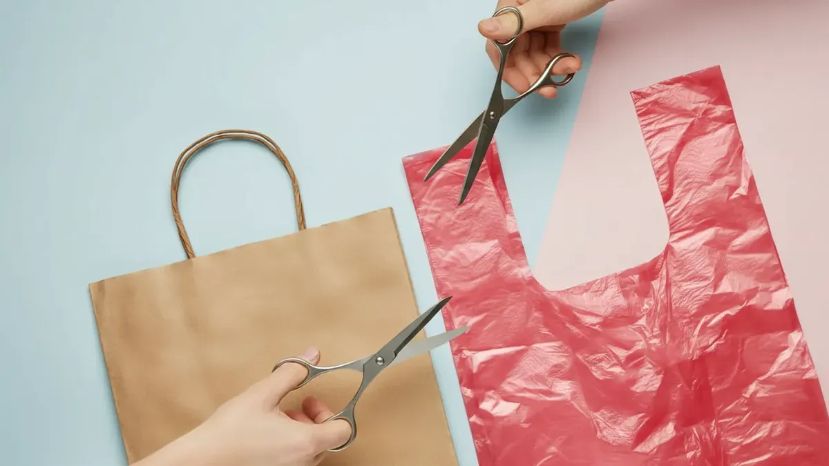 Nové využití plastových tašek: šikovné organizéry do domácnosti