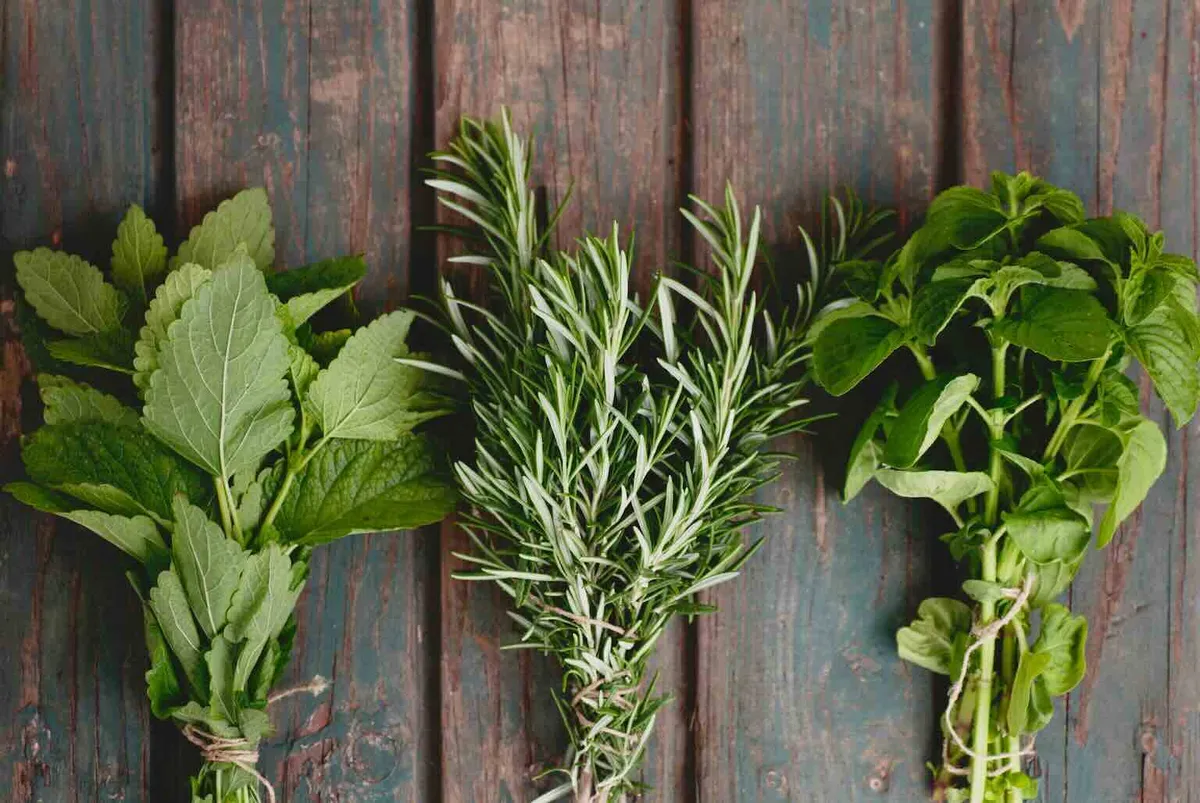 Rozmarýn: šikovná pomocnice do každé domácnosti