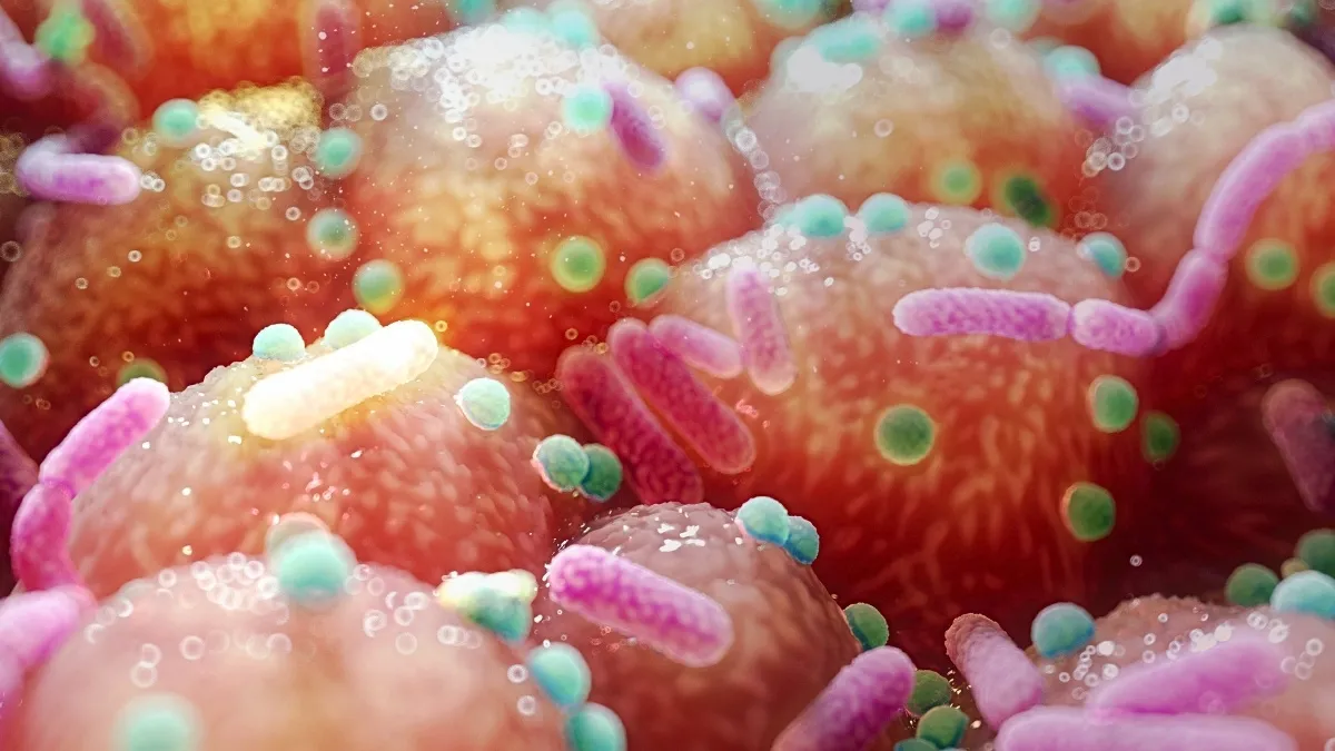 Co mají společného střevní mikrobi a Parkinsonova choroba