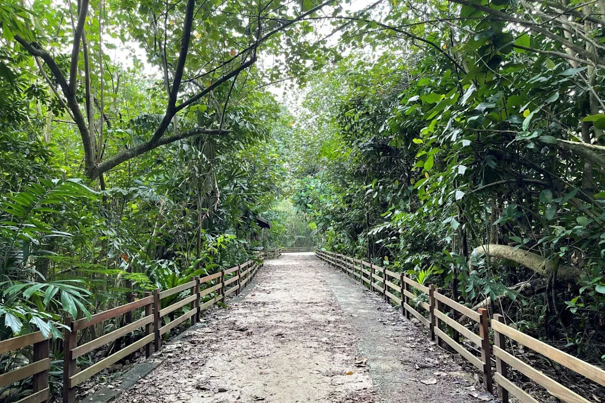 Hřivnatka se v Singapuru objevila po více než 40 letech