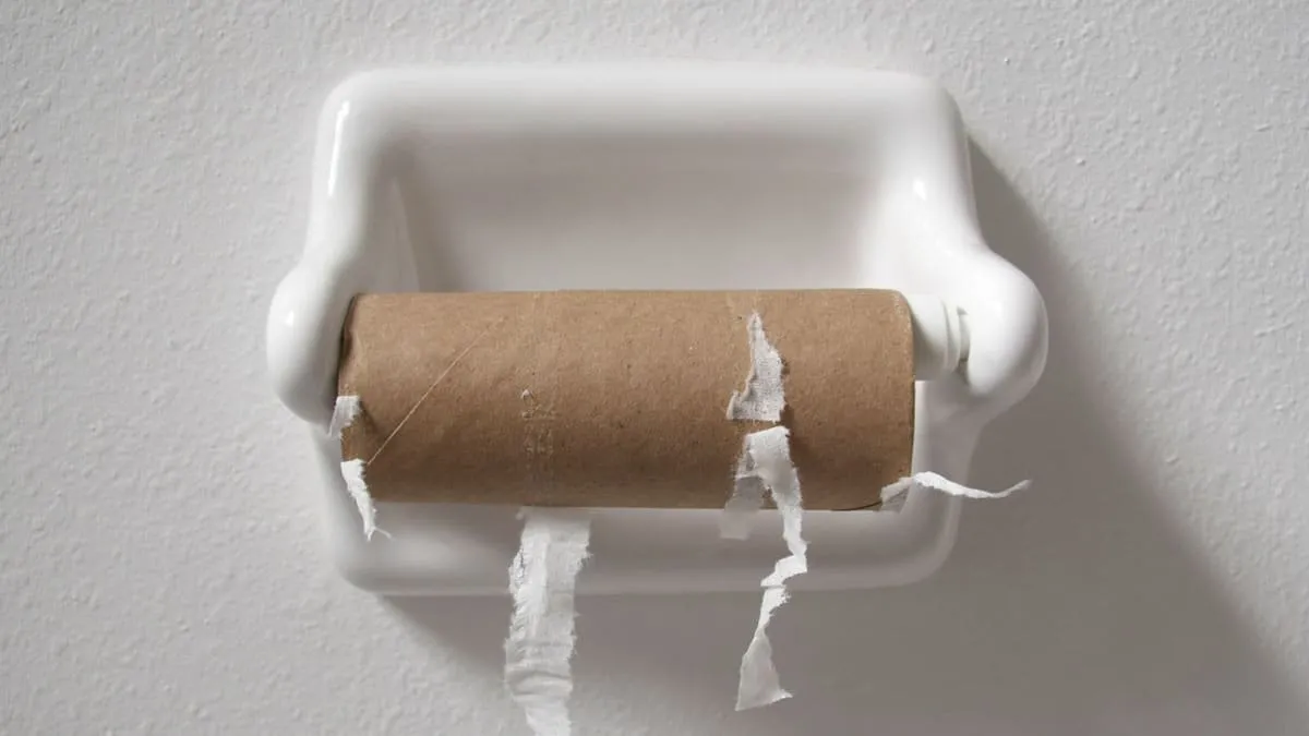 Konec éry toaleťáku? Česká domácnost si vybírá chytrou alternativu